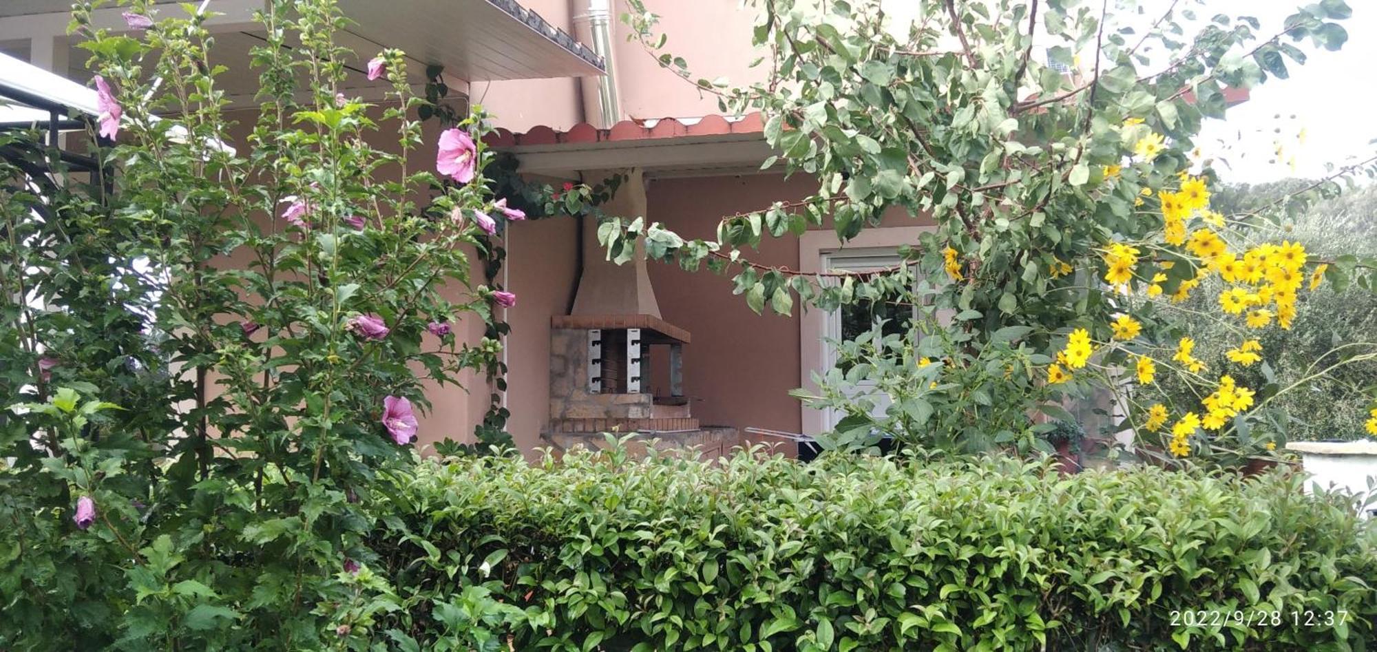 Spiti Lou Apartment Notos Екстериор снимка